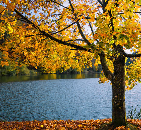 Sur l’eau